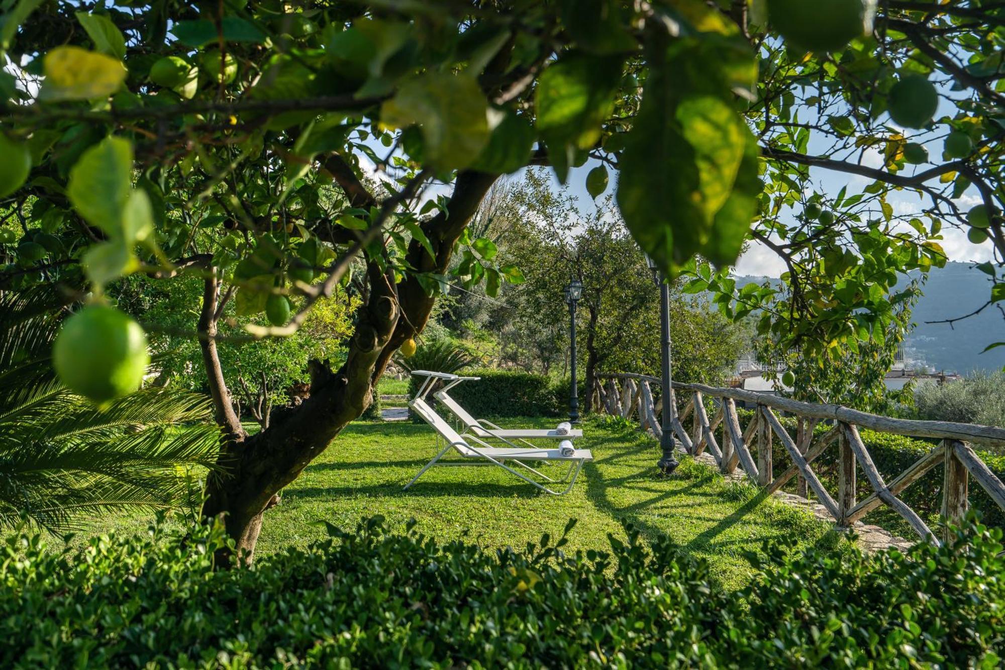 Villa Prota ヴィーコ・エクエンセ エクステリア 写真